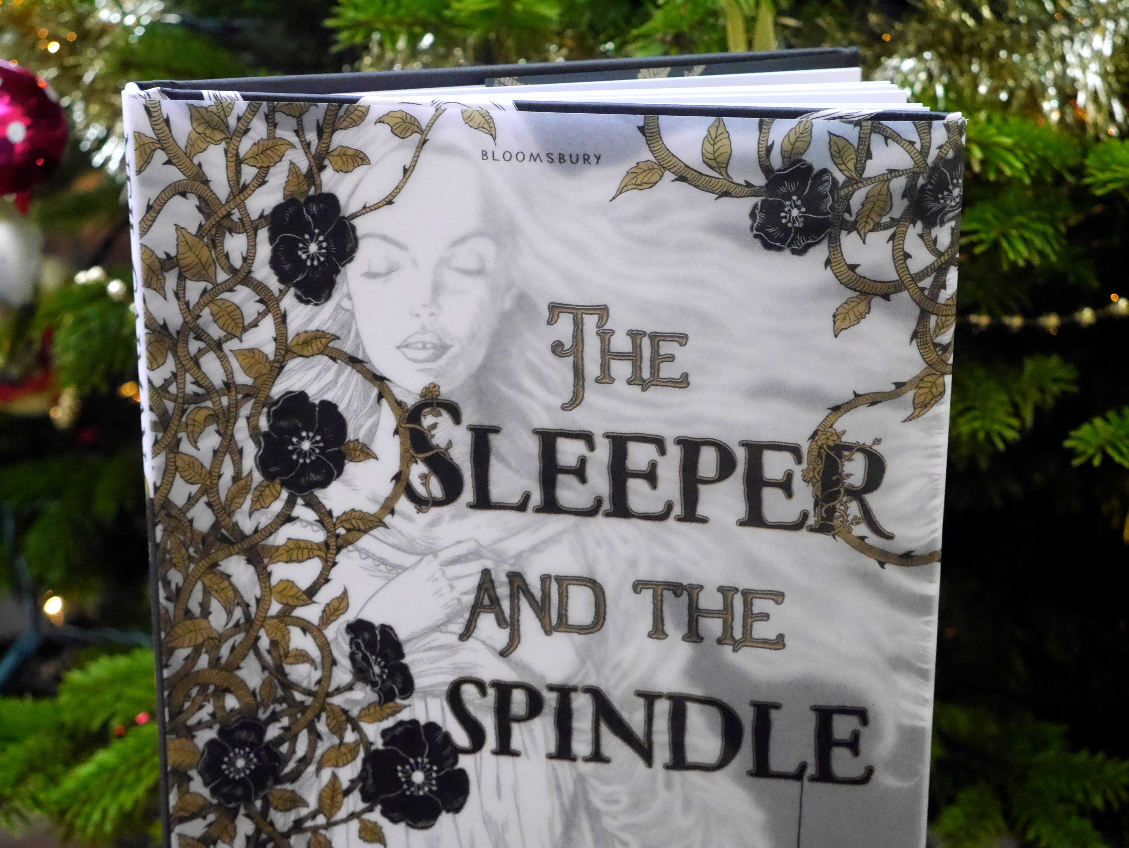 chris riddell sleeper and the spindle